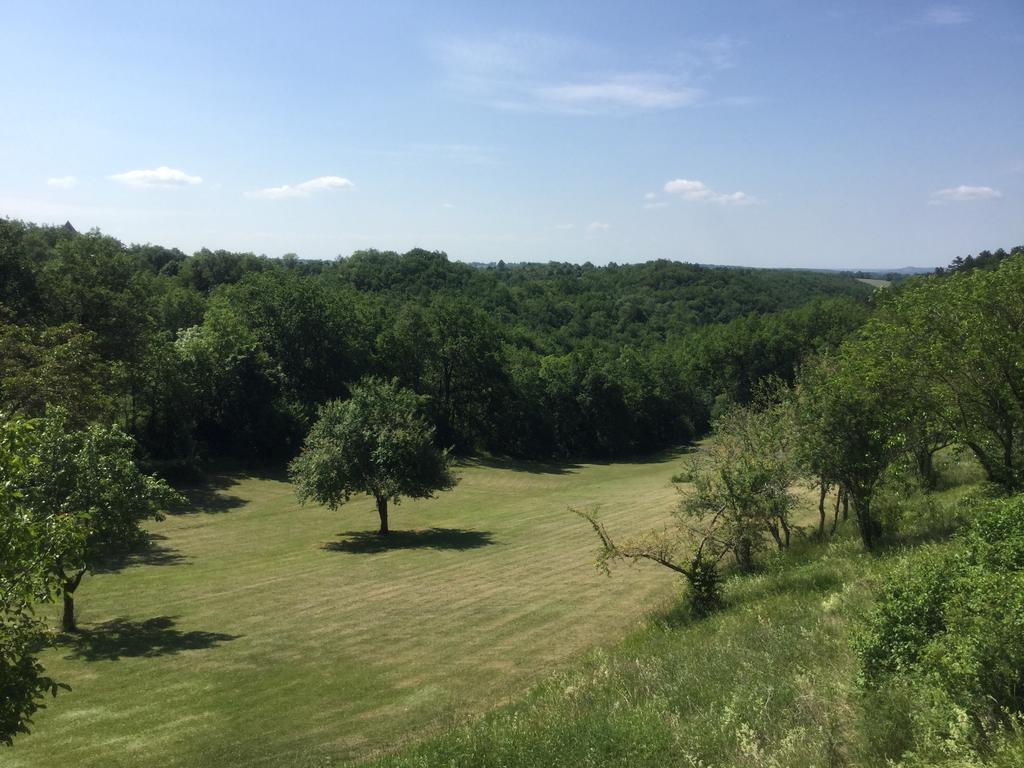 Domaine De La Greze Labastide-Murat Bagian luar foto